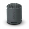 Sony SRS-XB100