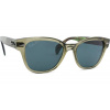 Ray-Ban RB0880S 66353R 52