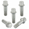 Skrutka BAS M14x1.50 guľový kľúč 17 45 mm 5 ks
