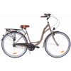Fuzlu Mestský bicykel Arizona S-3 28