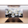 Sklenený panel do kuchynskej linky Orchidea 100x50 cm