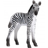 Mojo Zebra mláďa Mojo Zebra mláďa