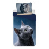 Obliečky so šedou mačkou