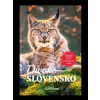 Divoké Slovensko - autorov Kolektív