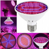 Osvetlenie pre rastliny - 4x DDP žiarovka PRE RAST RASTLÍN E27 300LED (Osvetlenie pre rastliny - 4x DDP žiarovka PRE RAST RASTLÍN E27 300LED)