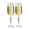 GSI Outdoors Nesting Champagne Flute Set