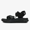 Champion Calix EUR 43