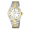 Hodinky pre pánov Festina Classic Bracelet F20554/1