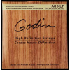 Godin Strings Acoustic Guitar XLT