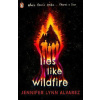 Lies Like Wildfire