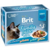 Brit Premium Cat D Filety v Jelly Family Plate 12 x 85 g 1020g