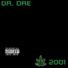 Dr.Dre - 2001 / Vinyl / 2LP [2 LP]