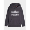 4F Jr sweatshirt 4FJAW23TSWSM634-22S (178722) Black/Green 134