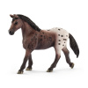 Schleich 13861 Kobyla Appaloosa