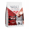 Wolf of Wilderness 
