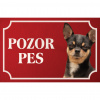 Čivava - Kovová tabuľka POZOR PES