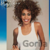 Whitney Houston: Whitney (Blue) LP - Whitney Houston