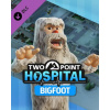 Two Point Hospital Bigfoot (PC)