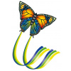 Günther BUTTERFLY 95 x 63 cm