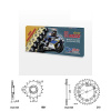 Řetězová sada s ČZ HX-ring GOLD BETA 390 RR rok 15-19