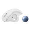 Logitech ERGO M575 - Kulový ovládač - optický - 5 tlačítka - bezdrátový - 2.4 GHz, Bluetooth 5.0 LE 910-005870