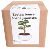 Bonsai - Kultivačná sada BONSAI JAPONSKÁ Borovica biela (Bonsai - Kultivačná sada BONSAI JAPONSKÁ Borovica biela)
