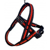 Postroj Gimborn Mesh Y 2,0x45 52-60cm oranžový