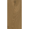 Vinylová podlaha SPC Floor Concept dub Aspen, 5 mm