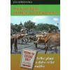 The Great Plains and Other Great Experiences/Velké pláně a další velké zážitky - Eva Střížovská