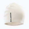 Zimná čiapka Salomon Graphic whisper white