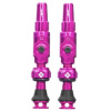 Big Bore Hybrid Tubeless Valves Pink Medium 21151