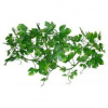 Lucky Reptile Jungle Vine Gape Leaf Vine 200 cm