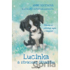 Lucinka a ztracené štěňátko - Anne Booth, Sophy Williams (Ilustrátor)
