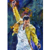 Norimpex Diamantové maľovanie Freddie Mercury 30 x 40 cm