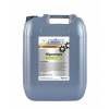 Opel GM Dexos 2 5W-30 5W30 5L 5L Filtre (Opel GM Dexos 2 5W-30 5W30 5L 5L Filtre)