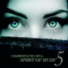 STS DIGITAL CELEBRATING THE ART & SPIRIT OF MUSIC Vol.5 (Referenčné CD - 24Bit MW Coding Process Analogue Remastered Recordings)