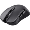 Trust GXT 923 Ybar Wireless Gaming Mouse 24888