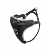 Postroj do auta Trixie Dog L 65-80 cm/25 mm