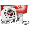 Cylinder nicasil aprilia scarabeo guliver Airsal 02130940