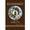 Kaleidoskop života a vlády Karla IV. - Dalibor Mlejnský