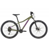 Cannondale Trail2021
