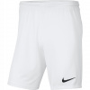 Nike pánske športové šortky pred koleno BV6855 veľkosť M