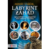 Labyrint záhad - Největší tajemství Čech, Moravy a Slezska - Arnošt Vašíček