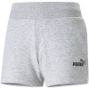 Puma ESS 4