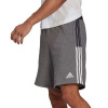 Šortky adidas TIRO 21 - Šortky adidas TIRO 21 | GP8808 | S