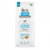 Brit Care dog Grain-free Junior Large Breed Salmon 12 kg