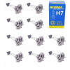 Žiarovka Bosma 1468 H7 55 V 1 ks