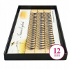 Riasy v trsoch Clavier