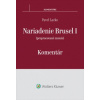 Nariadenie Brusel I Komentár
