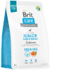 Brit Care Grain-free Junior Large Breed Salmon 3 kg